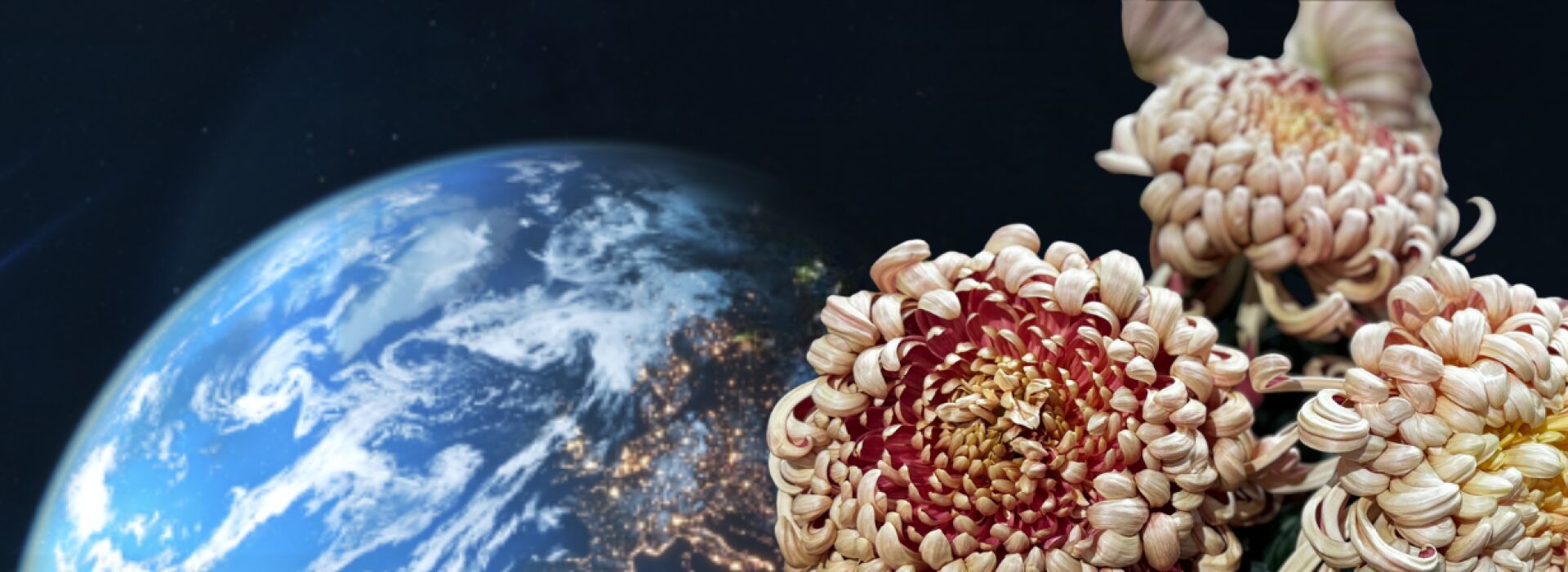Florint, the florist associations of the world