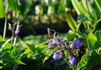 How Marginpar takes responsibility