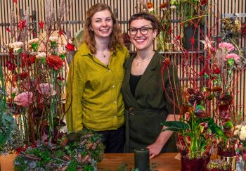 Inspiration for the Christmas season