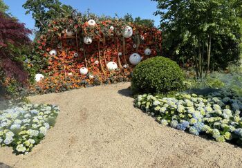 Institute of Flowers Celebrates Gold Medal Success