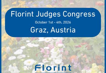Florint Judges Congress